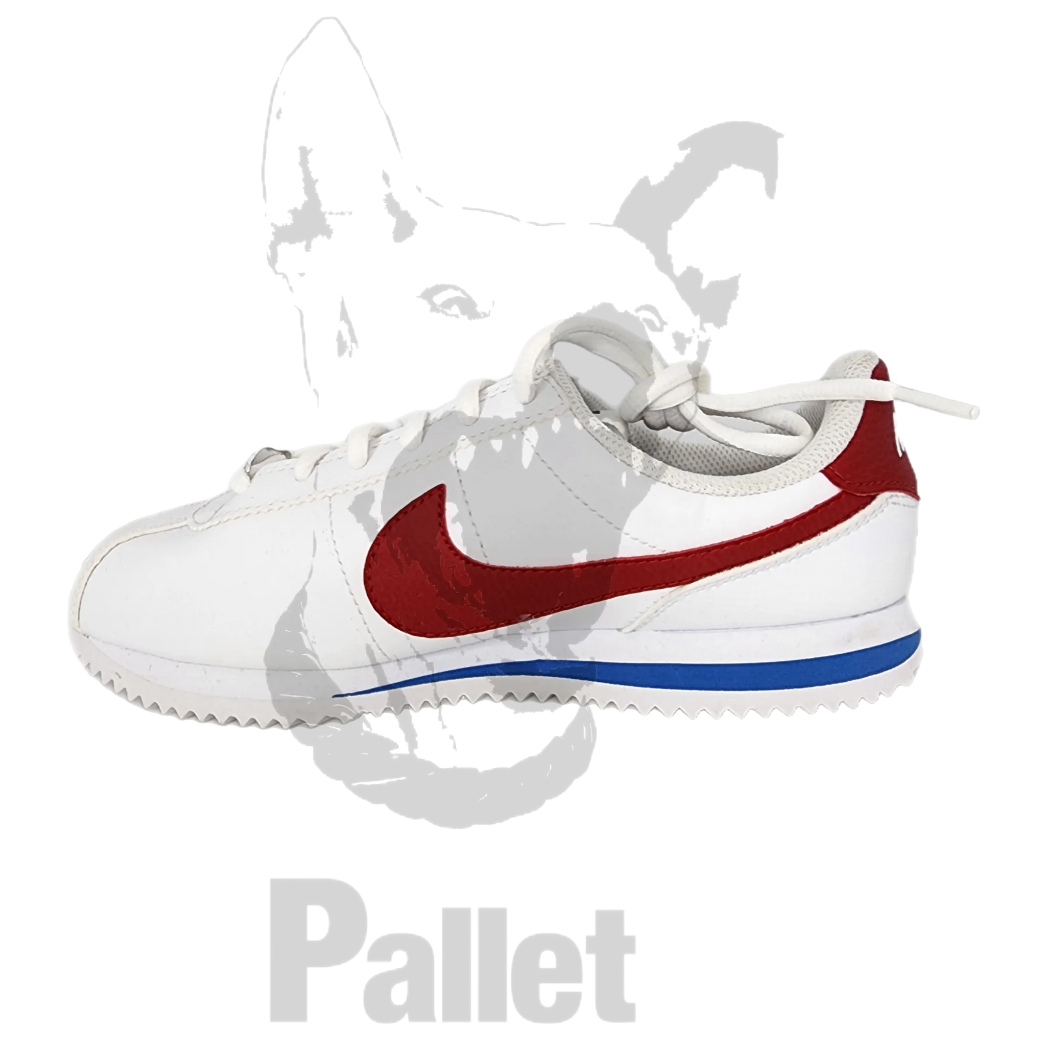 Nike - Cortez Basic Forest Gump- Size 5