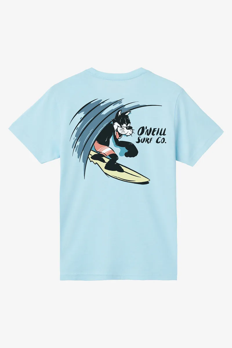 O'Neill Youth Closeout Tee-Sky Blue Heather